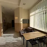 Cat Garden Premium *