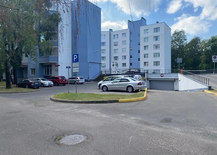 Cat Garden Premium Apartament *