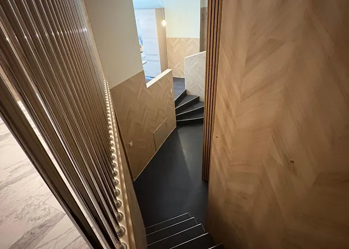 Cat Garden Premium Riga