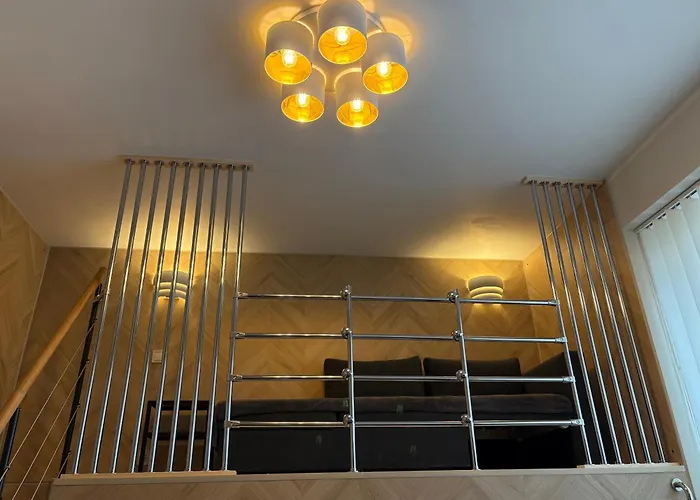 Cat Garden Premium *