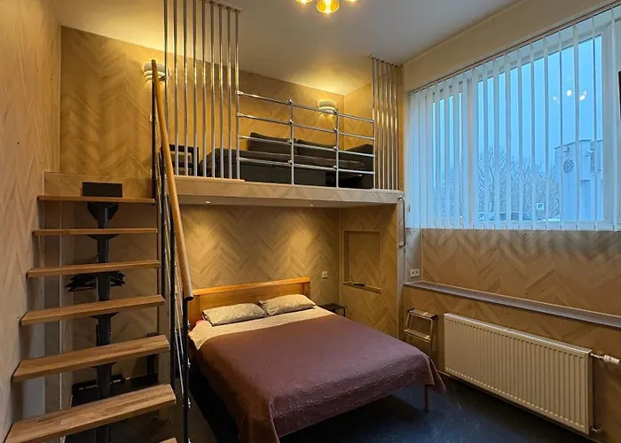 Cat Garden Premium Apartament