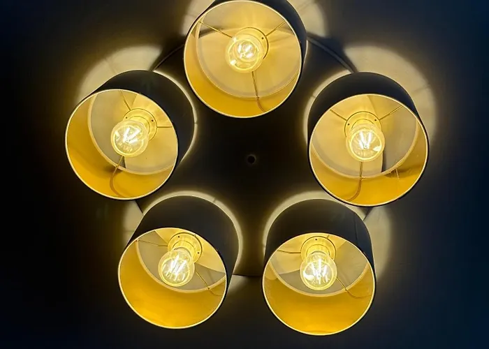 Apartament Cat Garden Premium