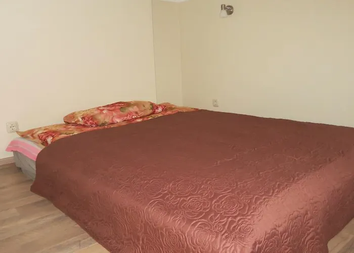 Cat Garden Premium Apartament *